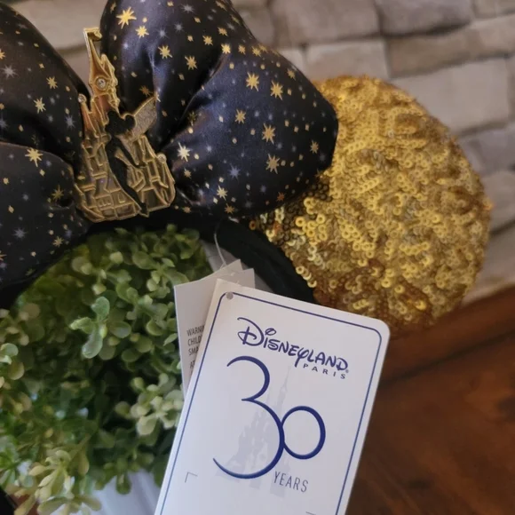Rare 30th Anniversary Disney Park Ears Authentic - Picture 4 of 10